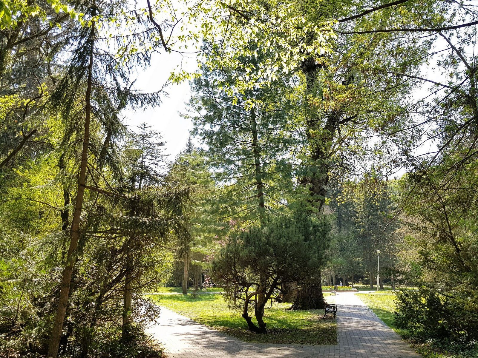 Őshonos park Tapolcán
